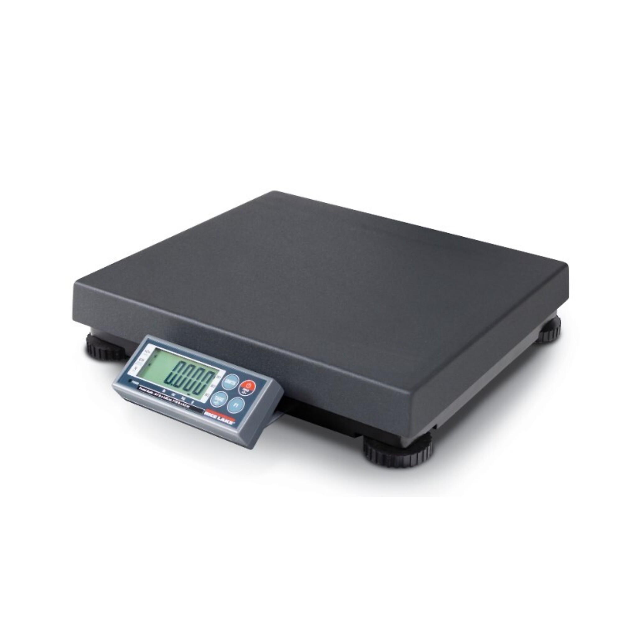 Rice Lake Bench Scale - 300 x 0.1 lb, Mild Steel, 24in. x 24in. Platform, 300-lb. Capacity, Model# BP 2424-150S